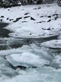 12月喀納斯河！闖入現實版冰雪童話世界