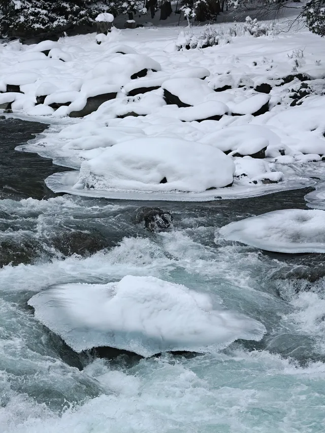 12月喀納斯河！闖入現實版冰雪童話世界