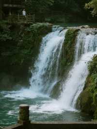 肇慶鼎湖山親子遊1.5h直達 天然空調房