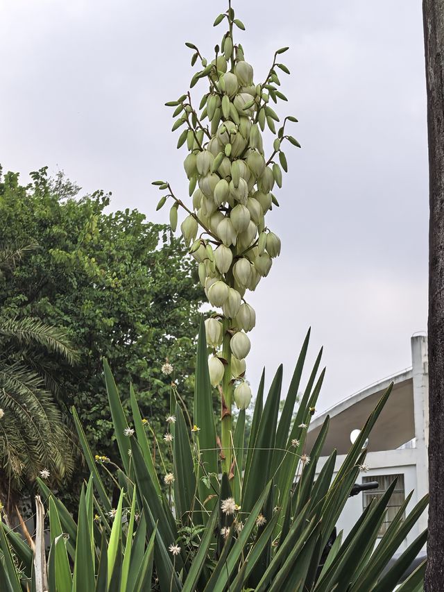 24小時玩轉北海！從「天下第一灘」到美食
