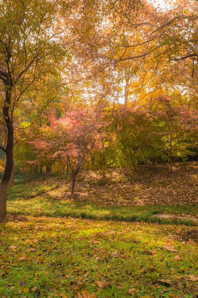 在武漢,週末不知道去哪兒玩,來東湖就對了 在武漢,週末不知道去哪兒玩,來東湖就對了