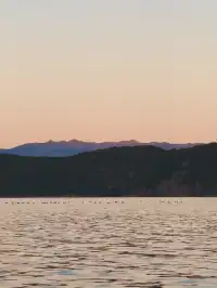 被瀘沽湖美鼠！12.4實拍！