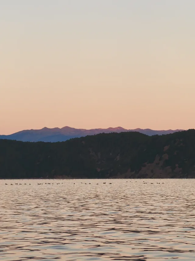被瀘沽湖美鼠！12.4實拍！