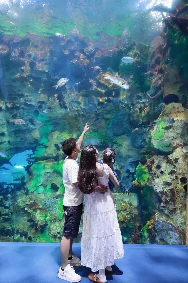 不到 150 找的珠海長隆跟拍踩雷了嗎? 不到 150 找的珠海長隆跟拍踩雷了嗎?