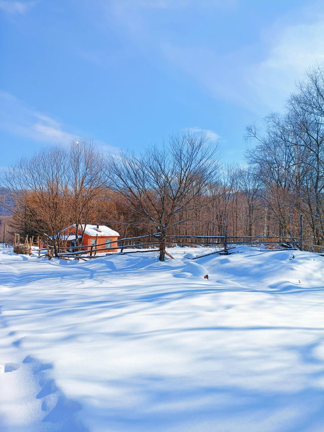 【哈爾濱·原生態雪景穿越路線】
