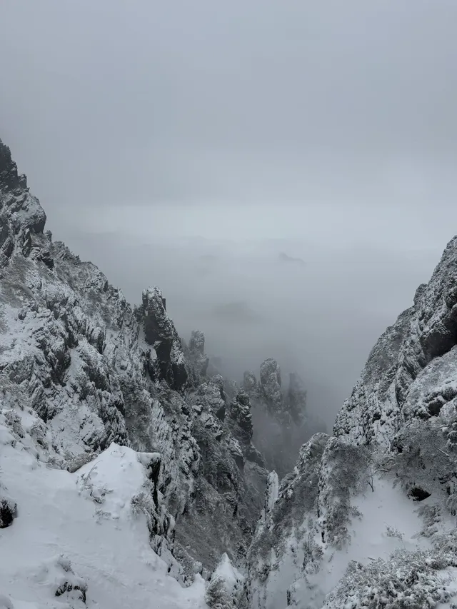 神農架冬日童話|闖入南國最純淨的雪國 神農架冬日童話|闖入南國最純淨的雪國