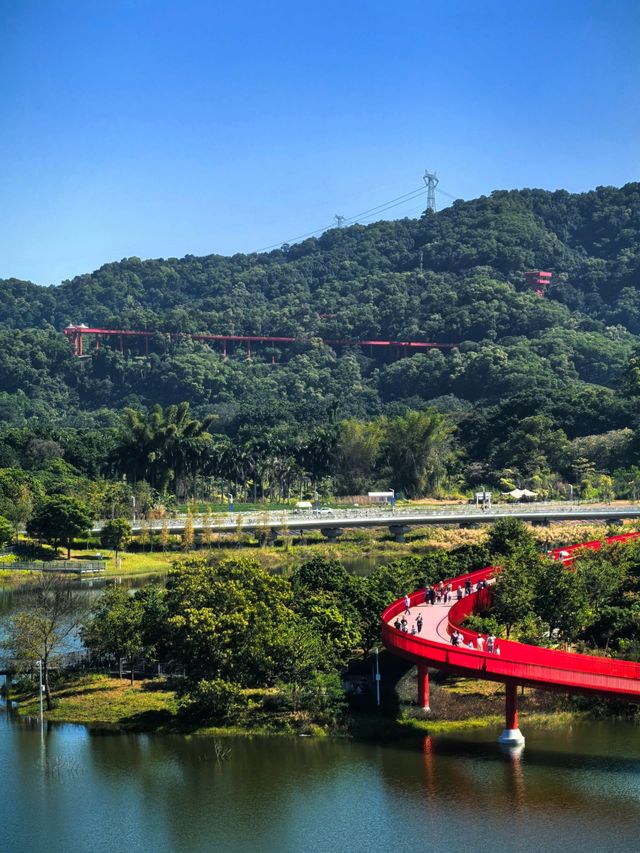 為什麼深圳人總在朋友圈曬這座虹橋？