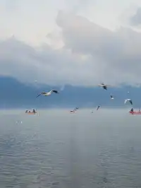 麗江瀘沽湖｜兩天一晚把晨霧+環湖玩明白了