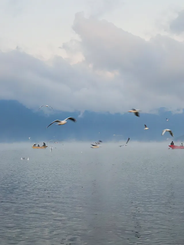 麗江瀘沽湖｜兩天一晚把晨霧+環湖玩明白了