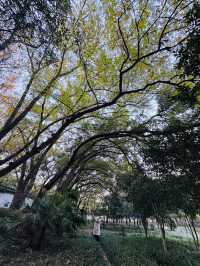 上海|秋冬這裡簡直太美了吧!