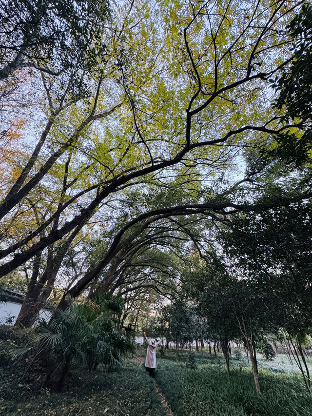 上海|秋冬這裡簡直太美了吧! 上海|秋冬這裡簡直太美了吧!