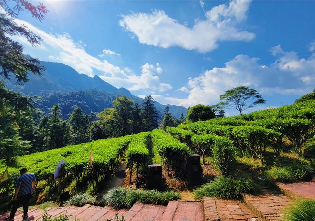 人間仙境姑婆山