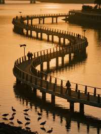 深圳福田紅樹林冬季親子遊 免費遛娃天花板！