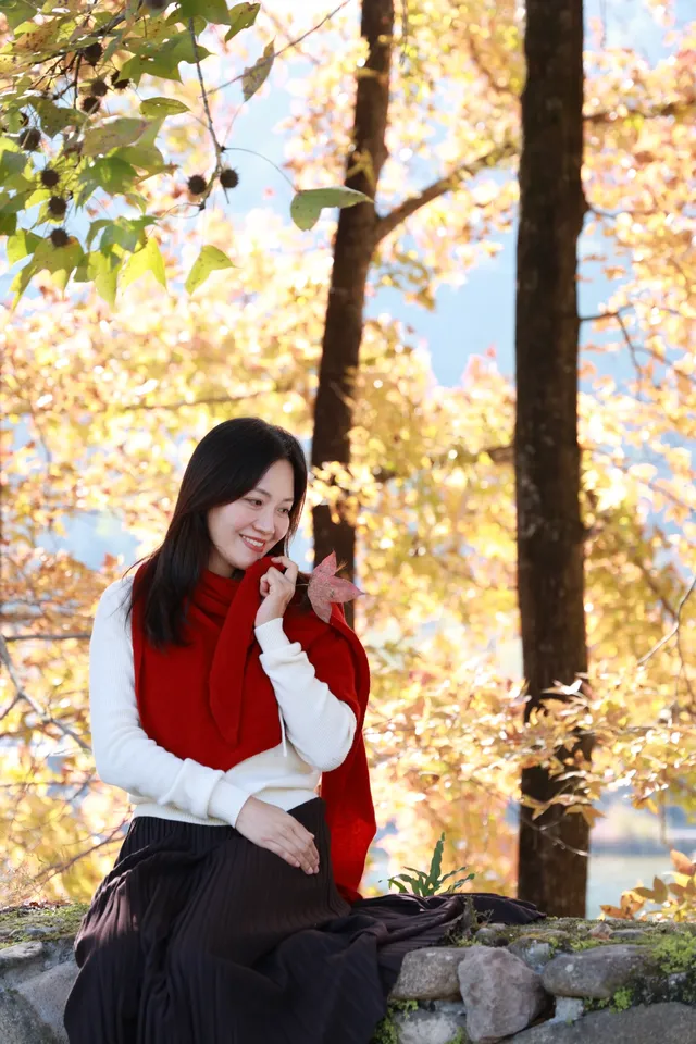 永嘉紅楓古道的紅楓紅了 永嘉紅楓古道的紅楓紅了