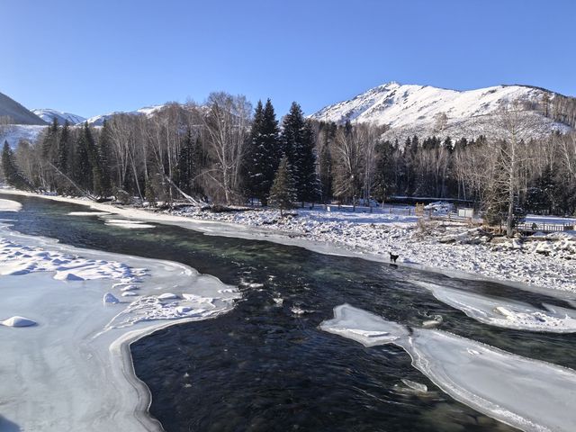 禾木冬季攝影攻略