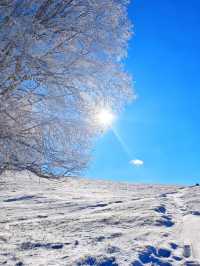 冬日烏蘭布統冰雪攻略