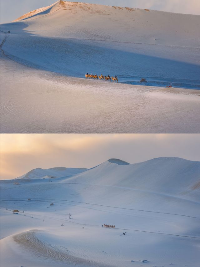 錯過雪後的鳴沙山,再去就要等明年! 錯過雪後的鳴沙山,再去就要等明年!