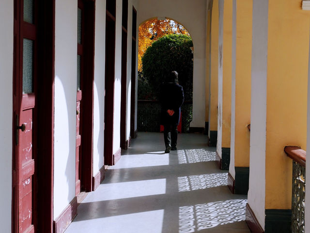 說走就走的金陵之旅2.5天年假邂逅南京的秋 說走就走的金陵之旅2.5天年假邂逅南京的秋