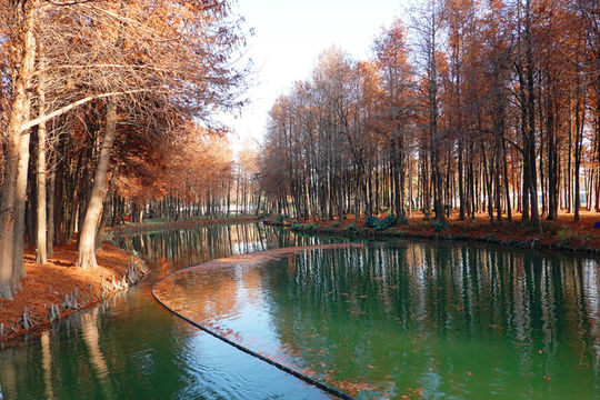 上海新的橫沔公園,開園3天遊客量破萬 上海新的橫沔公園,開園3天遊客量破萬