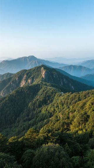 Explore the Xinhua Daxiongshan Forest Park and embark on a magical natural journey!