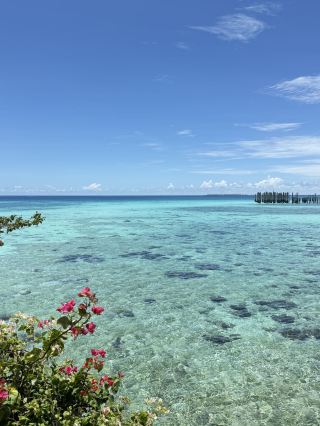 Максимальная сумма, необходимая для безвизового въезда в Малайзию: от 1000 ринггитов на человека для незабываемого путешествия.