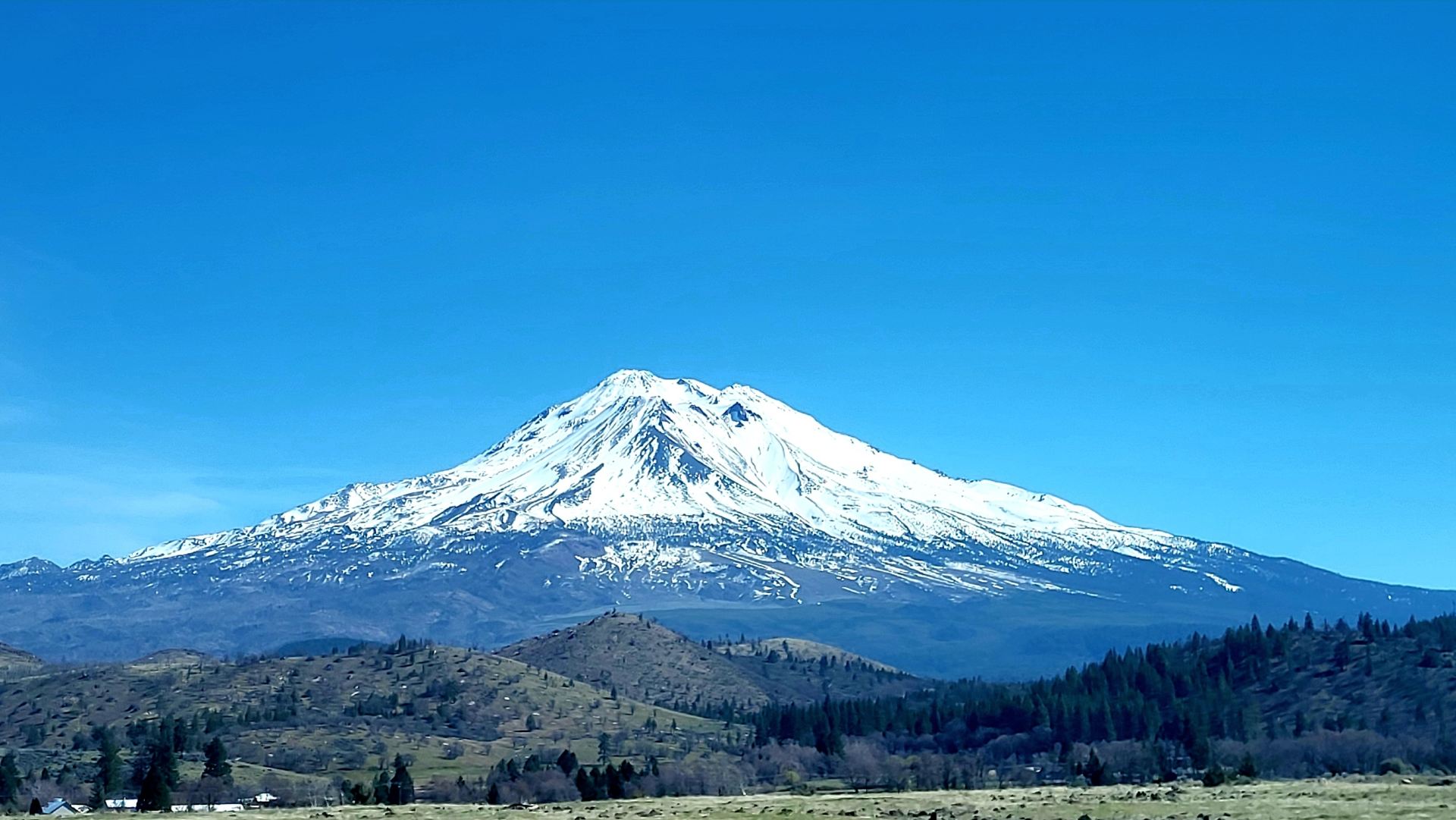 Shasta Trinity National Forest