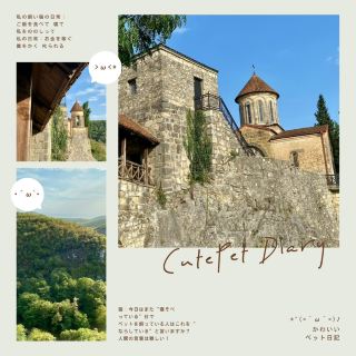 莫薩梅塔修道院遊覽攻略