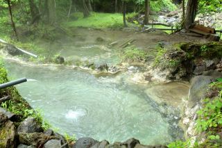 被原始森林環繞的隱秘野湯