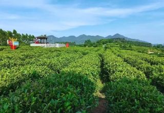 Zhao'an Youth Cultural and Tourism Route Recommendation
