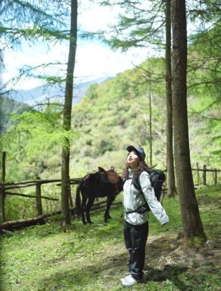 成都周邊遊2h直達雲中牧場徒步