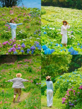 Have you ever seen a whole valley full of hydrangeas? It's beautiful