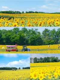 6天夏日暢遊日本攻略速來get