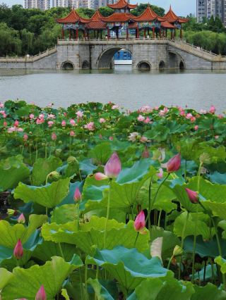江西宜春丨7-8月淡季來真的很香，人少景美