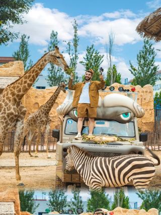 A must-visit for runaway princesses! The Chengdu giraffe park is so photogenic