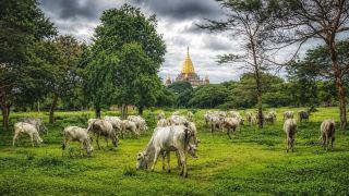 A Memorable Photography Adventure in Myanmar
