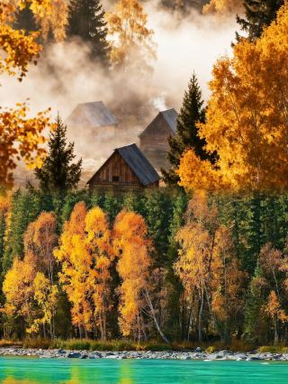 Northern Xinjiang golden autumn grand loop|A golden date with northern Xinjiang