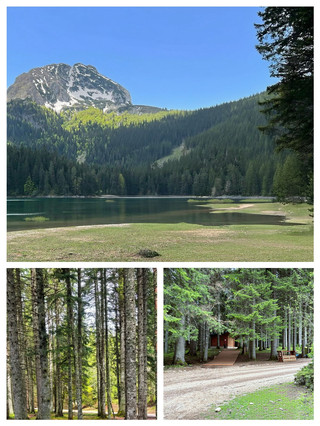 I Cried in a Canyon (and I'd Do It All Over Again) — My Durmitor StoryHey fellow wanderers!