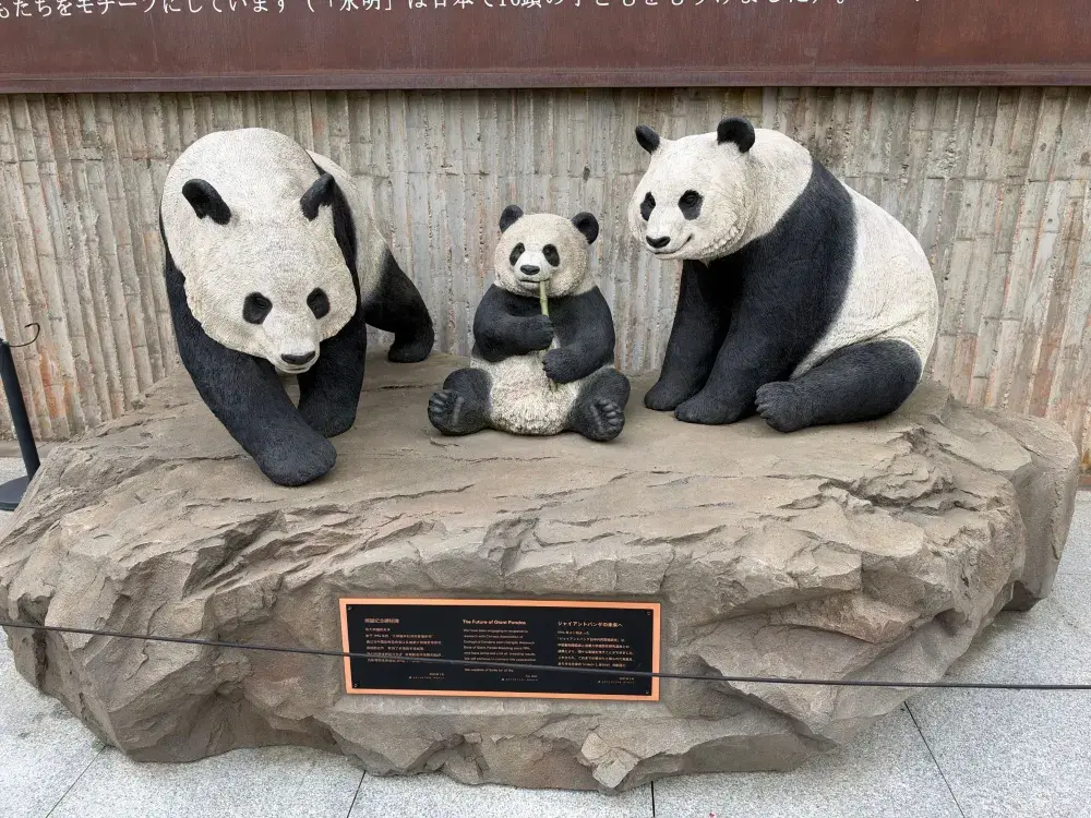 🐼 成都熊貓館內部