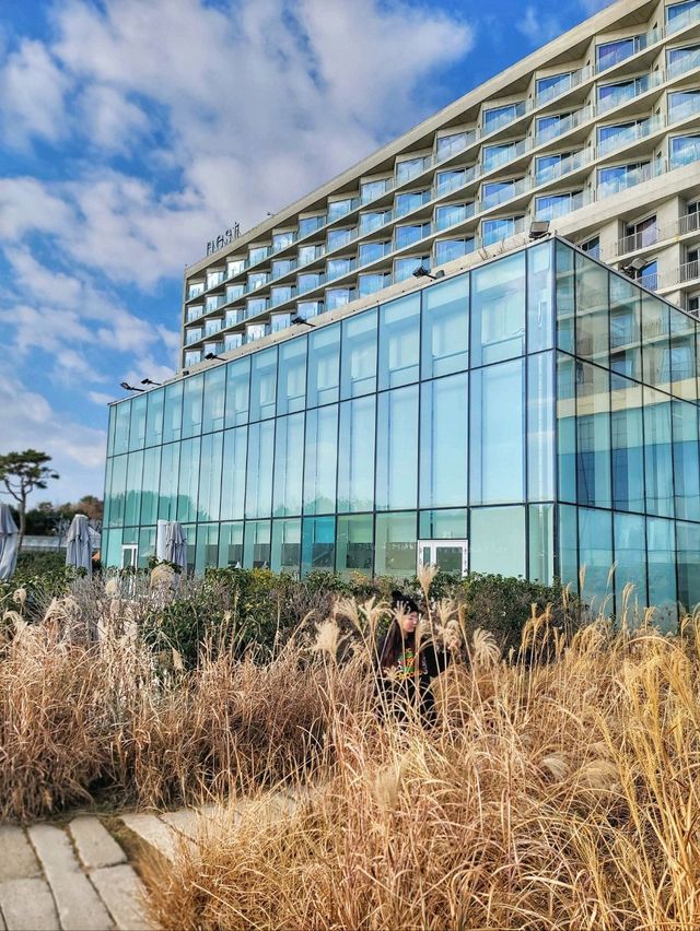 겨울에 가면 더 좋은 인천 네스트호텔🏨