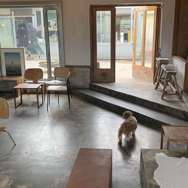 서귀포 안덕 핫플 카페 풀베개, 애견동반가능 카페🐶