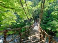 四國景點！日本三大秘景之一，大步危，大步踏過祖谷藤蔓橋🌉