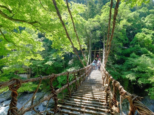 四國景點！日本三大秘景之一，大步危，大步踏過祖谷藤蔓橋🌉