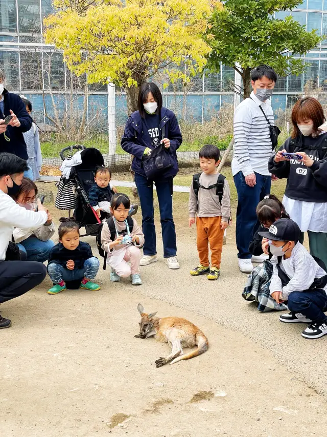 神戶最適合親子遊嘅神戶動物王國