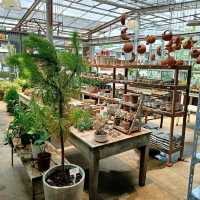 ร้านกาแฟ แกะดำ (Black sheep) @แพร่