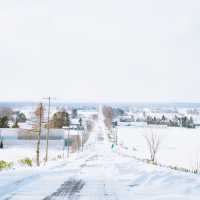 天へと続く道ver.雪