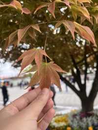 Place of Love at N Seoul Tower