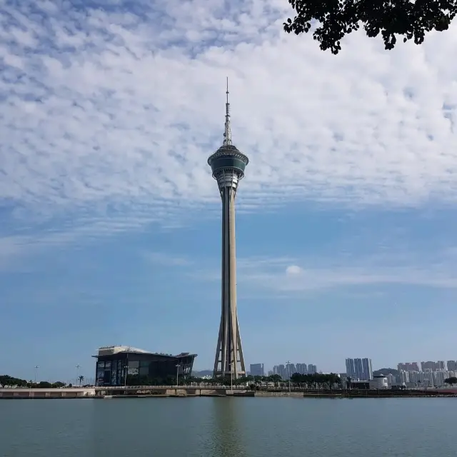 在Macau Tower高空看澳門景色