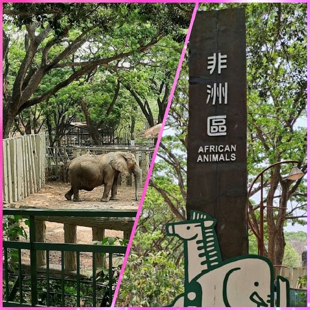高雄動物園