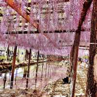 天王川公園