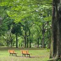 東京都心最大嘅公園：代代木公園隨意遊